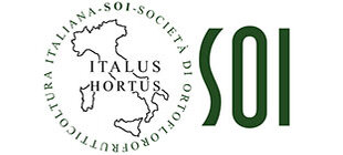 Logo SOI